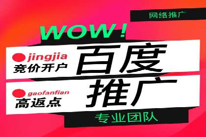 谷歌竞价广告与社交媒体结合的营销案例探讨